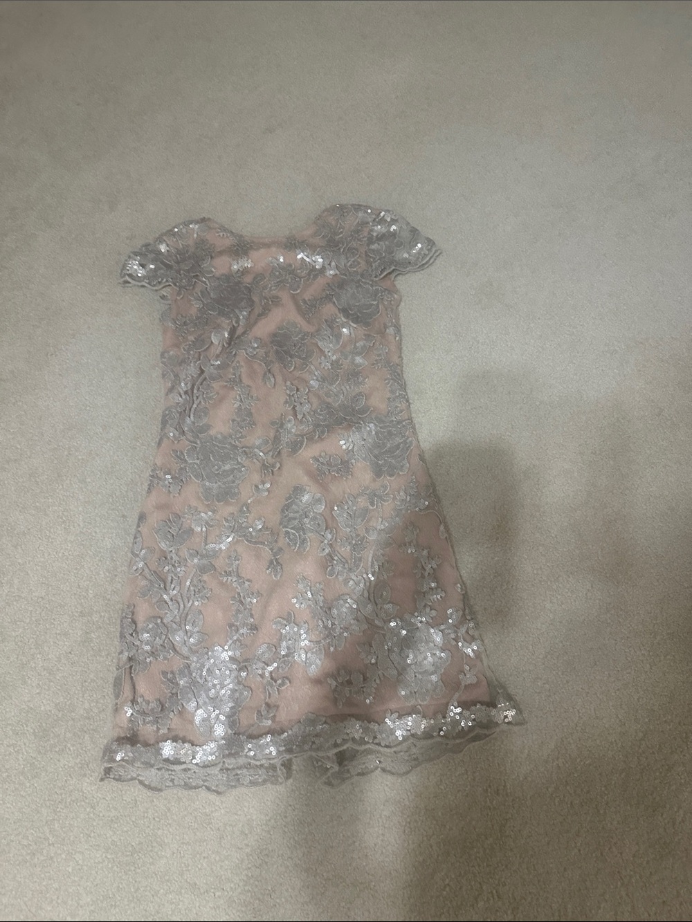 Dress the Population tan/champagne Dress with Silver Lace Overlay